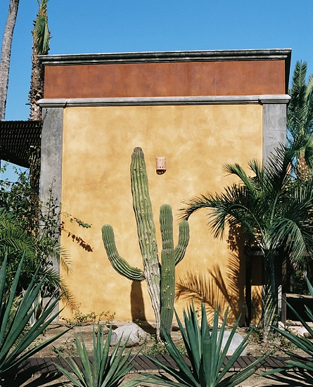 BF4315B2-EEAB-4AC8-AA95-F431A9F513