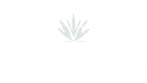 VillasantacruzBaja footer logo